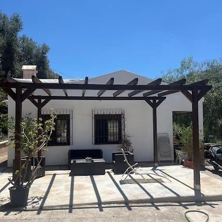 Farmhouse Surrounded By Centenary Olive Trees Olías Dış mekan fotoğraf